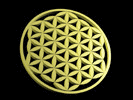 Entry to Flower Of Life